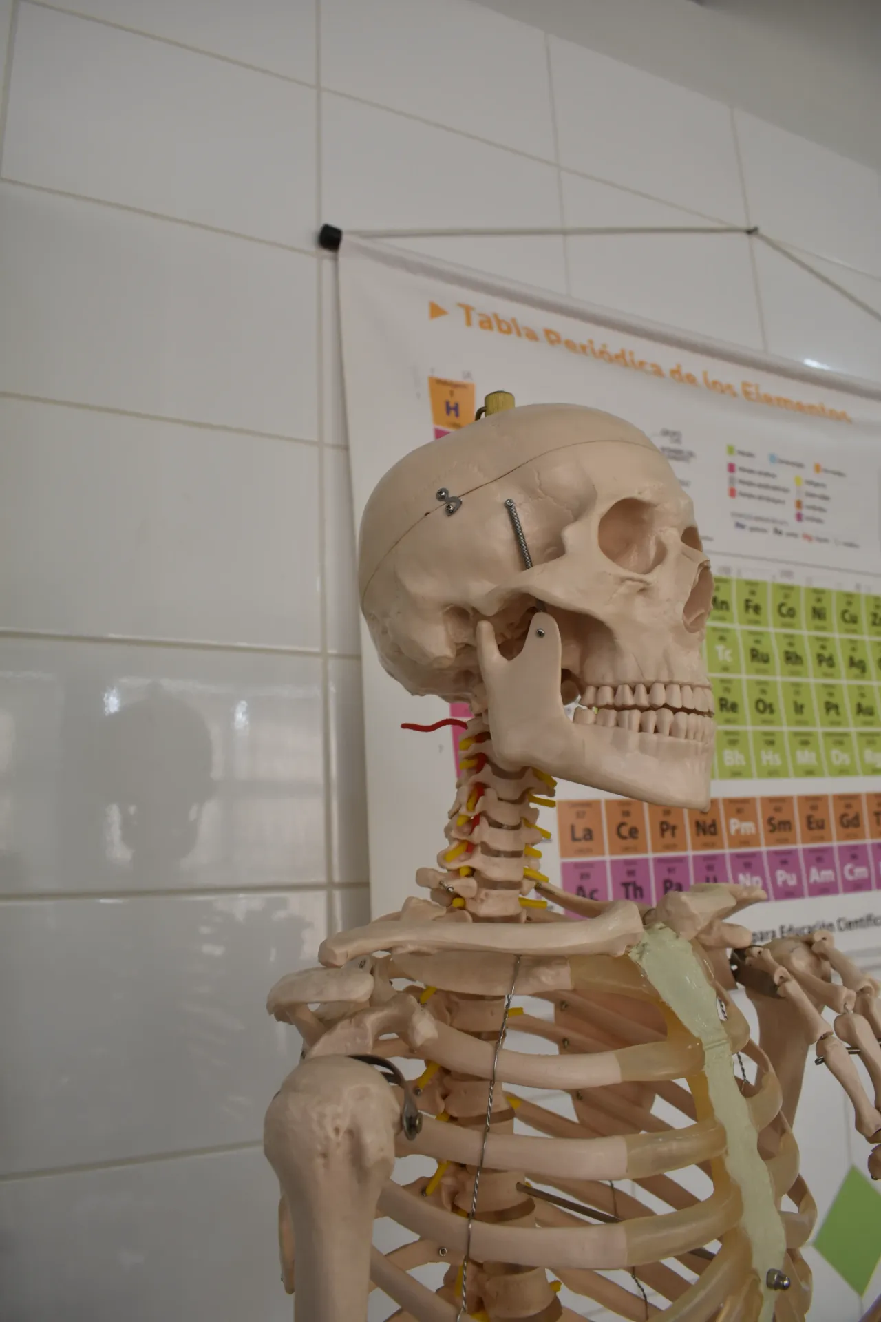 Laboratorio de Ciencias - Foto 8